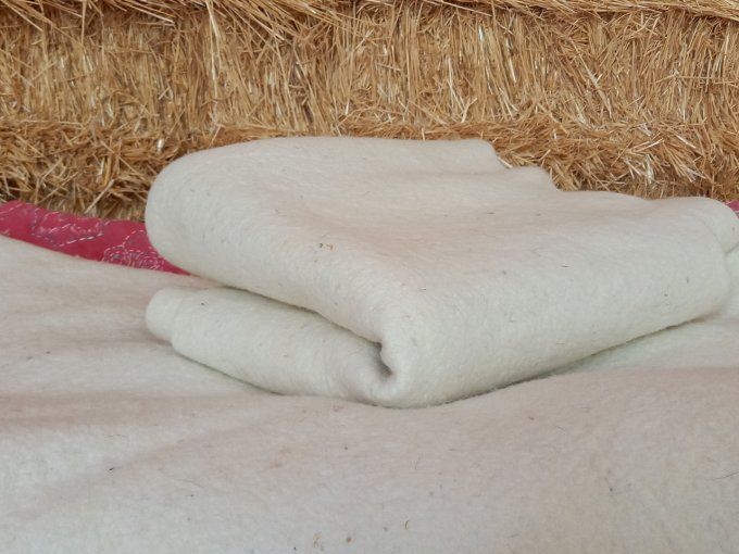 Nappe de laine feutrée