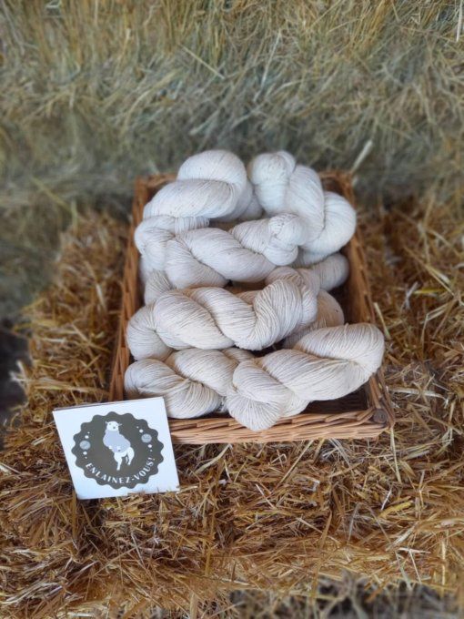 Echeveau 100gr pure Mérinos de Bauduen (83)